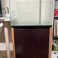ADA水槽①②③セット