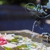 ランキングキーワードに紐づく投稿画像-霊視