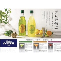 明治屋 MYライム(果汁10％)300ml×14本、エトナ シシリーライムジュース 250ml×3本の画像