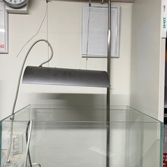 ADA水槽②の画像