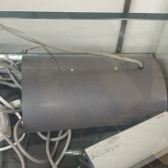 ADA水槽③の画像