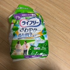 尿漏れナプキン、大人用紙パンツ