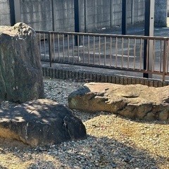 庭石の画像