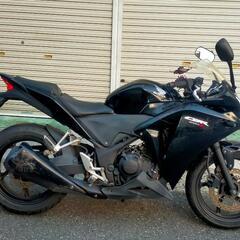 ダンク/ホンダ/HONDA 新車 ホンダ ダンク （ＤＵＮＫ） マットブラック | Zuttoride Market（ずっとライドマーケット）