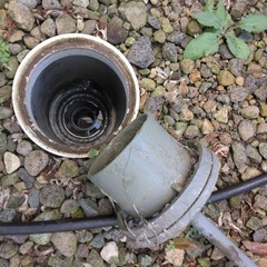 排水管洗浄の画像