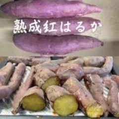 焼き芋用 紅はるか　10キロ90日熟成芋　