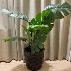 【2月までの期間限定】フェイクグリーン　造花　飾り　植物　観葉植物