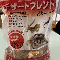 爬虫類　敷
砂