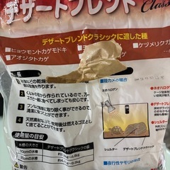 爬虫類　敷
砂の画像