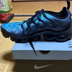 NIKE　AIR VAPOR MAX PLUSの画像