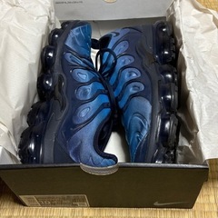 NIKE　AIR VAPOR MAX PLUSの画像