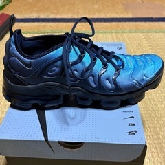 NIKE　AIR VAPOR MAX PLUSの画像