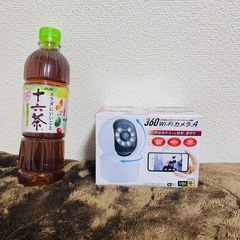 Wi-Fi カメラの画像