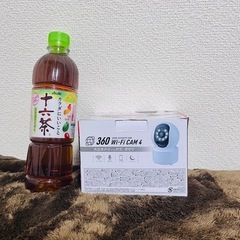 Wi-Fi カメラの画像