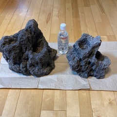 ADA 雲山石 2個 水槽用 - その他