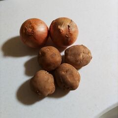 じゃがいも、玉ねぎ　1.5kg