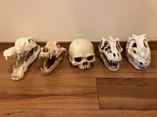 爬虫類専用のオブジェ