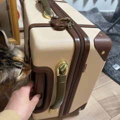 可愛いスーツケースの画像