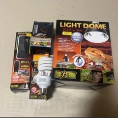 爬虫類 ライトなど