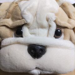 パグミニクッション美品の画像