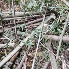 愛知産ポーラス竹炭300Lの画像