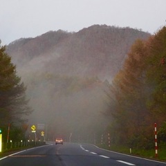 登山仲間募集　(本当に山登る方だけお願いします🙇‍♀️) - 千代田区