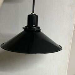 Industrial Pendant Light with Li...