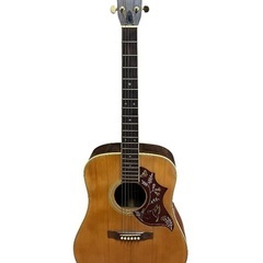 humming bird  custom W-500 値下げ ア...