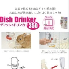 小動物水飲みの画像