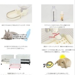 小動物水飲みの画像
