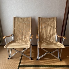 室内使用 オンウェー コンフォートチェア2 セット