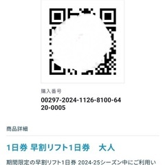 ハンターマウンテンリフト券2枚セット