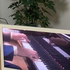 32V型液晶テレビSONY 難ありの画像