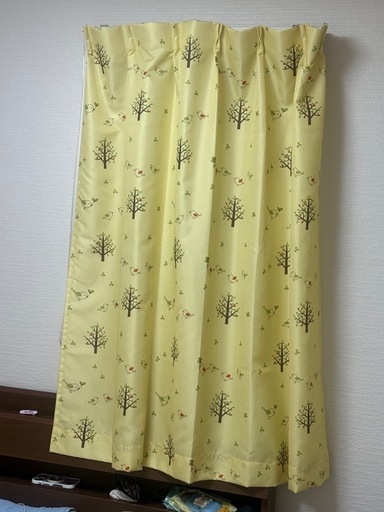鳥のカーテン