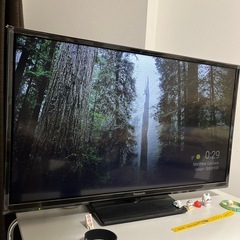 テレビ