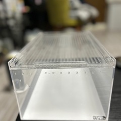 レプタイルボックス