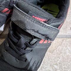 【本日限定値下げ】NIKEスニーカー　19センチの画像