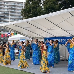 🌿藤沢で本格的なフラを学びませんか？🌈の画像