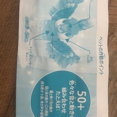 喋る鳥　おもちゃの画像
