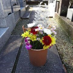 半田市や常滑市から知多郡のお葬式・葬儀・家族葬・墓じまい・納骨堂　お任せください。 - 常滑市