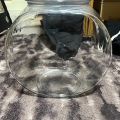 金魚鉢約7L 