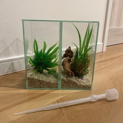水槽セット