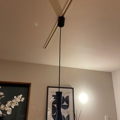 ペンダントライト黒　2個セットの画像