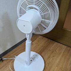 扇風機…1/31の画像