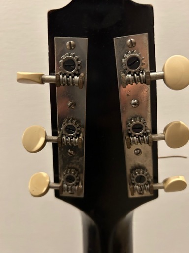 1924年ギブソンmandolin guitar