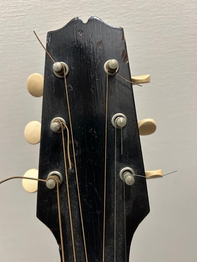 1924年ギブソンmandolin guitar