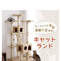 キャットタワーの画像