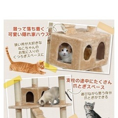 キャットタワーの画像