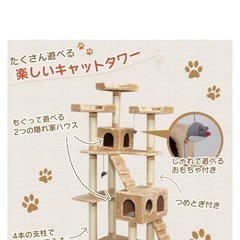 キャットタワーの画像