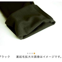 【新品未使用】レディース　Lサイズ　裏起毛パンツ　2本セットの画像